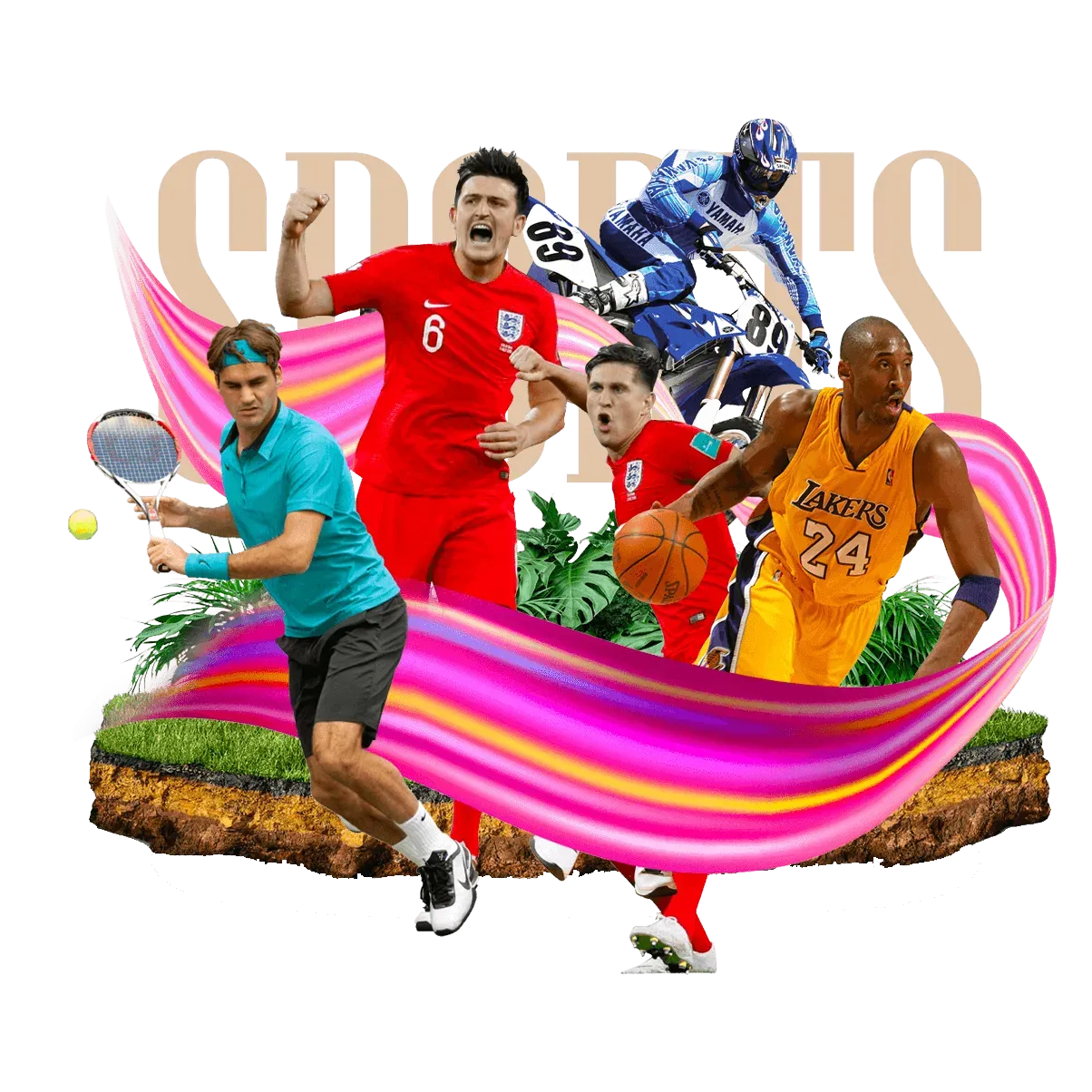 百家乐官网体育赛事
